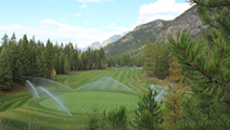 Echo Valley Irrigation: how a small company can think big